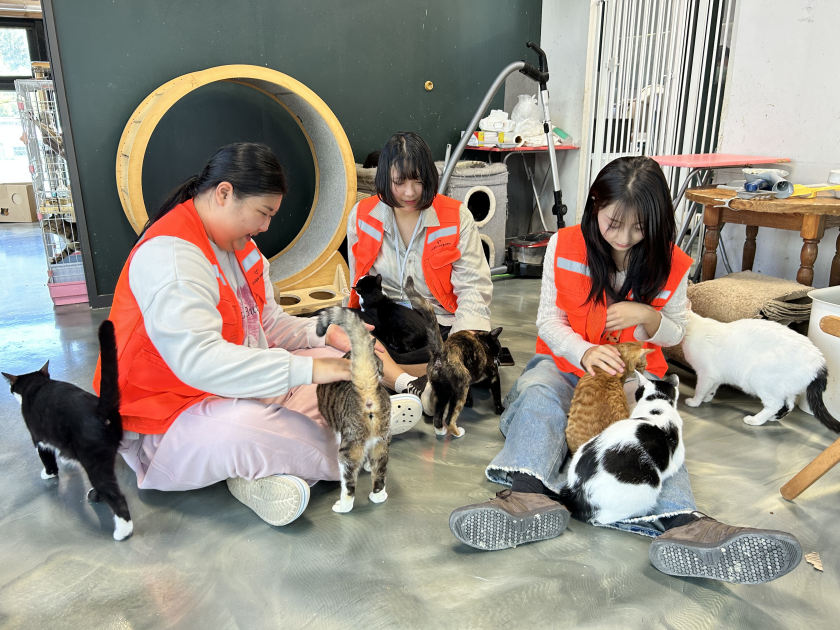 9月 청년봉사단 ‘팡주청년단’ 유기묘 보호소 봉사활동 진행 썸네일
