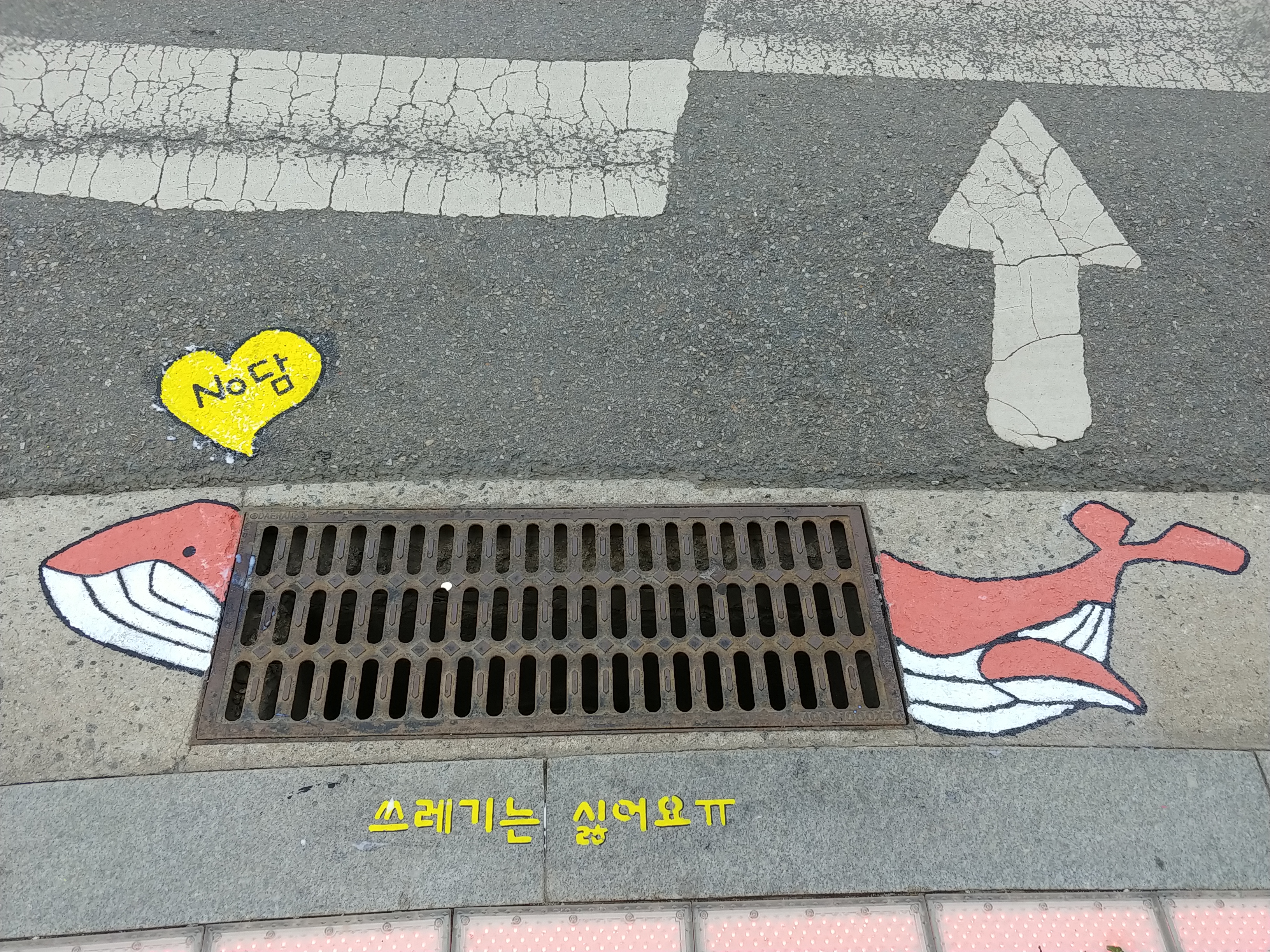 20230619_165226.jpg